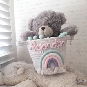 Canasto Organizador Colors