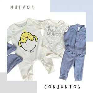 Set Primer Día Pollito Gris