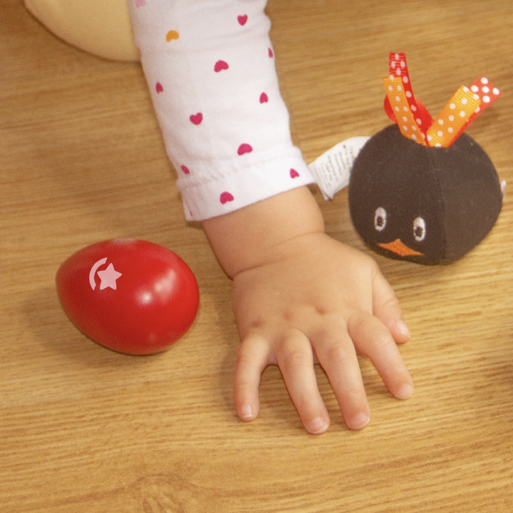 Kit de Estimulación Gallina Lila y sus Pollitos - Imagen 4