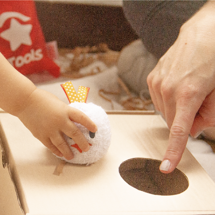 Kit de Estimulación Gallina Lila y sus Pollitos - Imagen 3